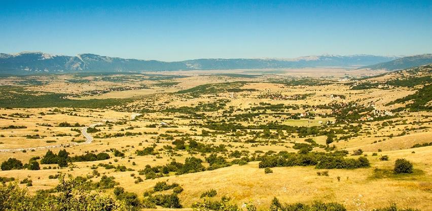 livanjsko polje