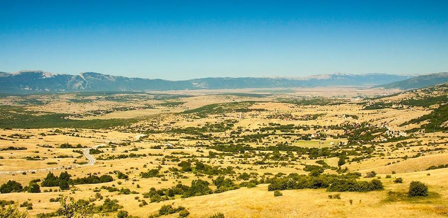 livanjsko polje