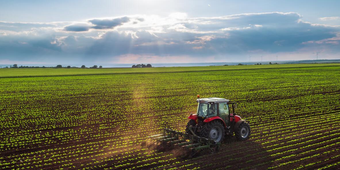 Poljoprivreda